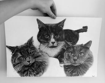 Commission portrait, pet portrait. Hand-drawn in pencil graphite