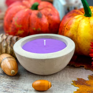 Outdoor candles | Lemongrass | Lavender | Scented | in concrete bowl | Suitable for outdoor use