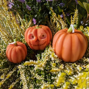 May include: Three orange pumpkin-shaped candles with green stems and white wicks. One candle has a carved jack-o'-lantern face. The candles are set among green and yellow foliage, with purple flowers in the background.