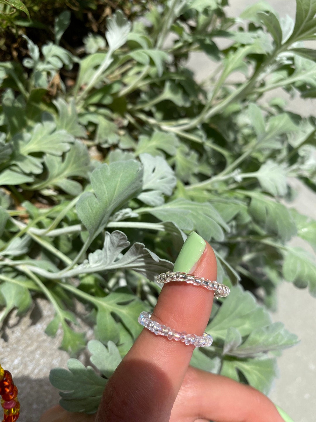 Seed Rings Clear Seed Ring Set - Etsy