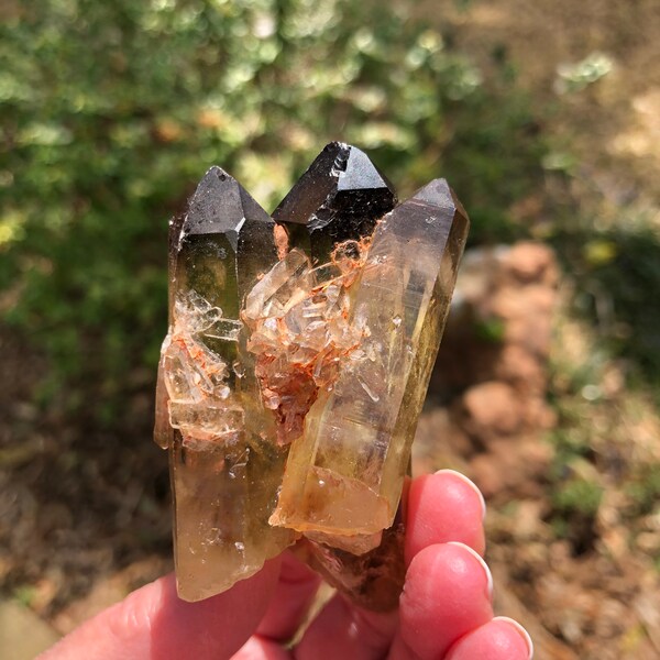 Natural raw Smoky Citrine Bed with barnacles, family, triple point, rainbows, 3”, 85 grams