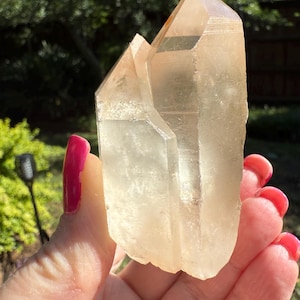 Rare Record Keeper Gold Lemurian Twin, new, high quality, 2.8”, crystal healing, gift