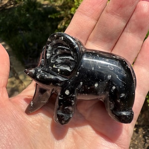 Agni Manitite Tektite Elephant 2.5”, beautifully carved, crystal healing, premium crystals