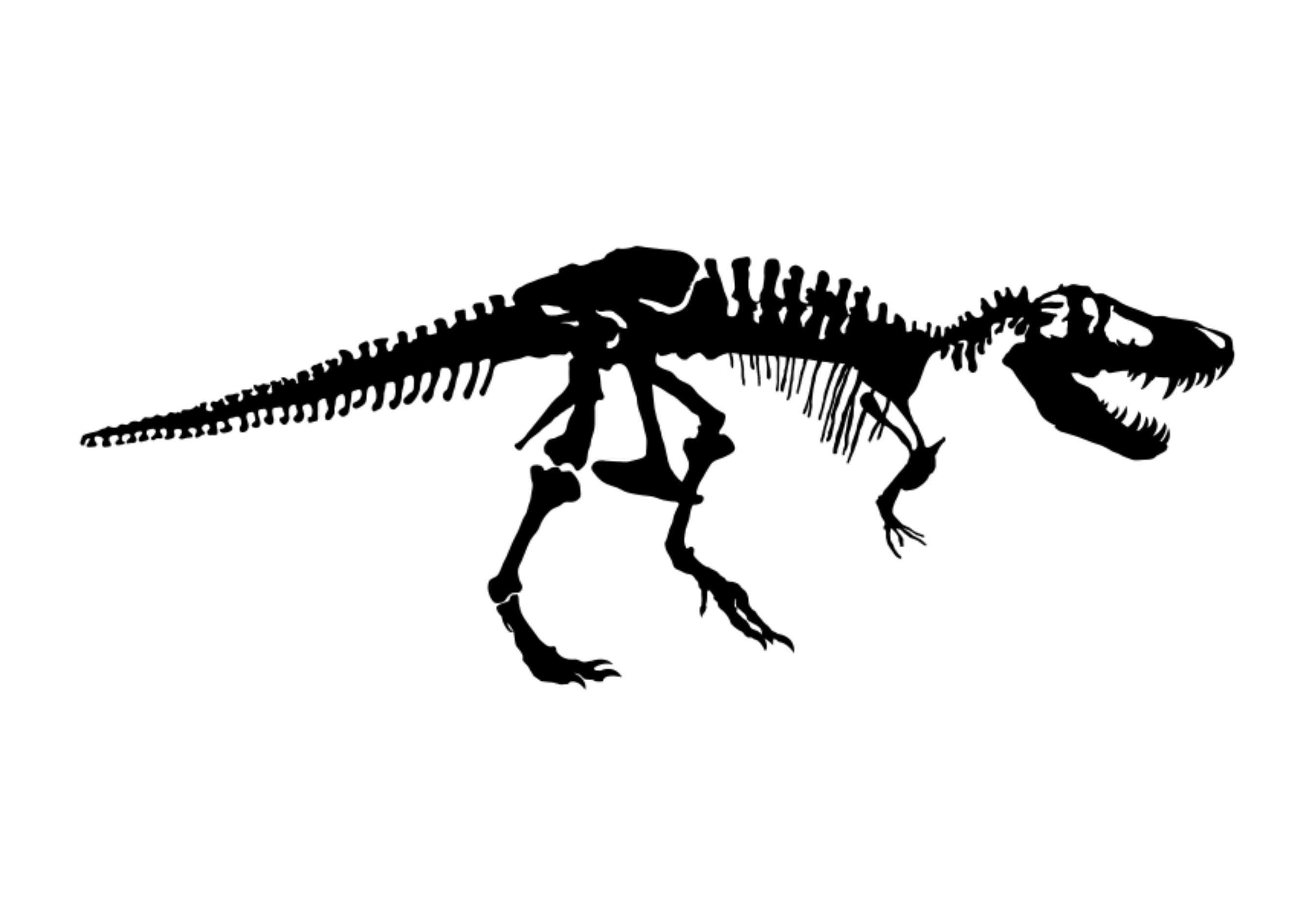 Trex Skeleton Svg Cut Files T-rex Svg Dinosaur Svg - Etsy