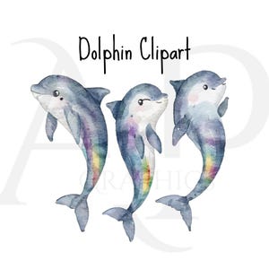 Regenbogen Delfin Aquarell Clipart PNG-Bundle, drucken, um Clipart-Dateien zu schneiden