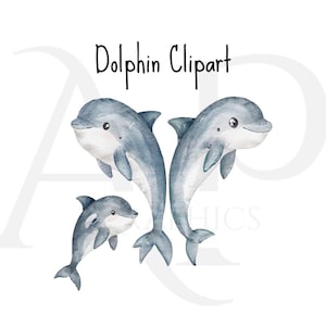 Delphin Familie Aquarell Clipart PNG-Bundle, drucken, um Clipart-Dateien zu schneiden