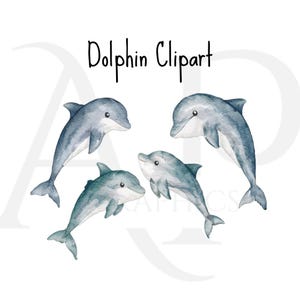 Delphin Familie Aquarell Clipart PNG-Bundle, drucken, um Clipart-Dateien zu schneiden