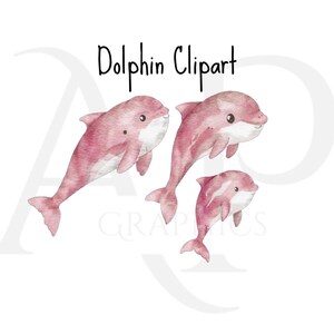 Pink Delfin Familie Aquarell Clipart PNG Bundle, drucken, um Clipart-Dateien zu schneiden