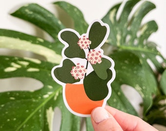 Hoya Kerrii Plant Sticker, Hoya Heart, House Plant Sticker, Plant Lady Gift, Plant Mom Gift, Plant Person Sticker, Plant Parent,