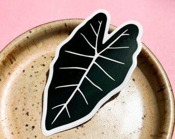 Alocasia Plant Leaf Sticker, House Plant Sticker, Gift for Plant Lady, Plant Mom Gift, Die Cut Sticker, Laptop Sticker