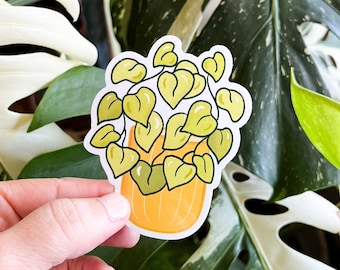 Neon Pothos Plant Sticker, Waterproof Houseplant Sticker, Plant Laptop Sticker, Vinyl Sticker, Plant Parent Sticker, Houseplant Stickers