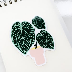 Anthurium Crystallinum Plant Sticker, Gift for Plant Mom, Plant Parent Gift, Plant Sticker, Houseplant sticker, Vinyl Weatherproof Sticker, image 4