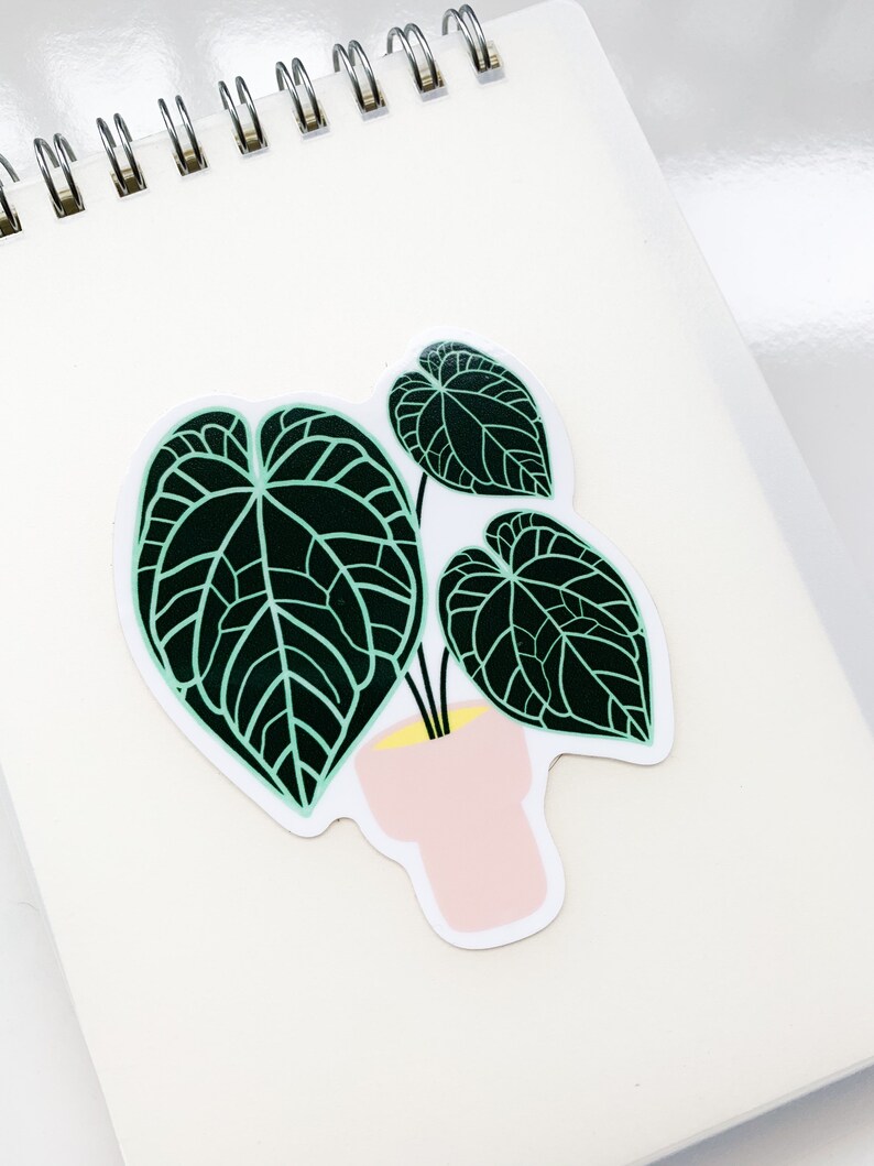 Anthurium Crystallinum Plant Sticker, Gift for Plant Mom, Plant Parent Gift, Plant Sticker, Houseplant sticker, Vinyl Weatherproof Sticker, image 4