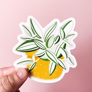 White Tradescantia Plant Sticker, Weatherproof Sticker, Plant Laptop Sticker, House Plants, Vinyl Sticker, Plant Car Decal,