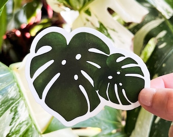 Monstera Pals Plant Sticker,  Plant Laptop Sticker, Vinyl Sticker, Plant Mom, Plant Lady Sticker, Weatherproof Sticker, Car Plant Sticker