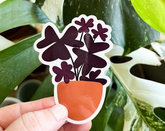 Chubby Oxalis Plant Sticker, Plant Mom, Plant Parent Sticker, Laptop Sticker, Waterproof Sticker, Plant Parent Decal,