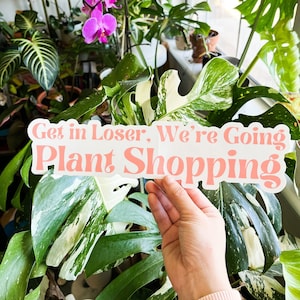 Get in Loser, We&#39;re Going Plant Shopping, Bumper Sticker, Mean Girls Plant Sticker, Weatherproof Sticker, Plant Mom, Plant Parent Sticker