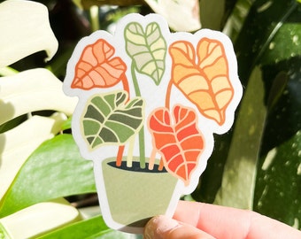 Alocasia Plant Sticker, Plant Parent Sticker, Houseplant Sticker, Vinyl Decal, Weatherproof Sticker, Plant Lady, Plant Mom Gift, Plant Dad