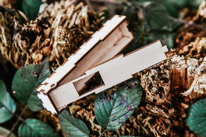Pu&ograve; includere: Una piccola scatola di legno con un coperchio incernierato. La scatola &egrave; realizzata in legno chiaro e ha un design semplice e rettangolare. La scatola &egrave; aperta e si trova su un letto di fogliame marrone e verde.