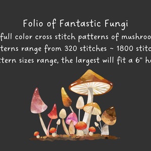 Folio of Fantastic Fungi Digital Cross Stitch Book, mushroom pattern collection, needlework zine, instant download PDF image 5