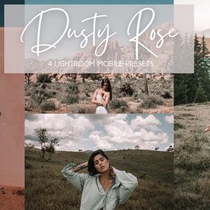 4 Lightroom Mobile Presets & Instagram Story Filter - Dusty Rose - Instagram Presets for Blogger