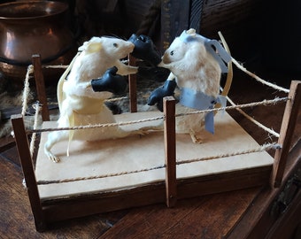 Taxidermy of mice boxing in the ring Oddities