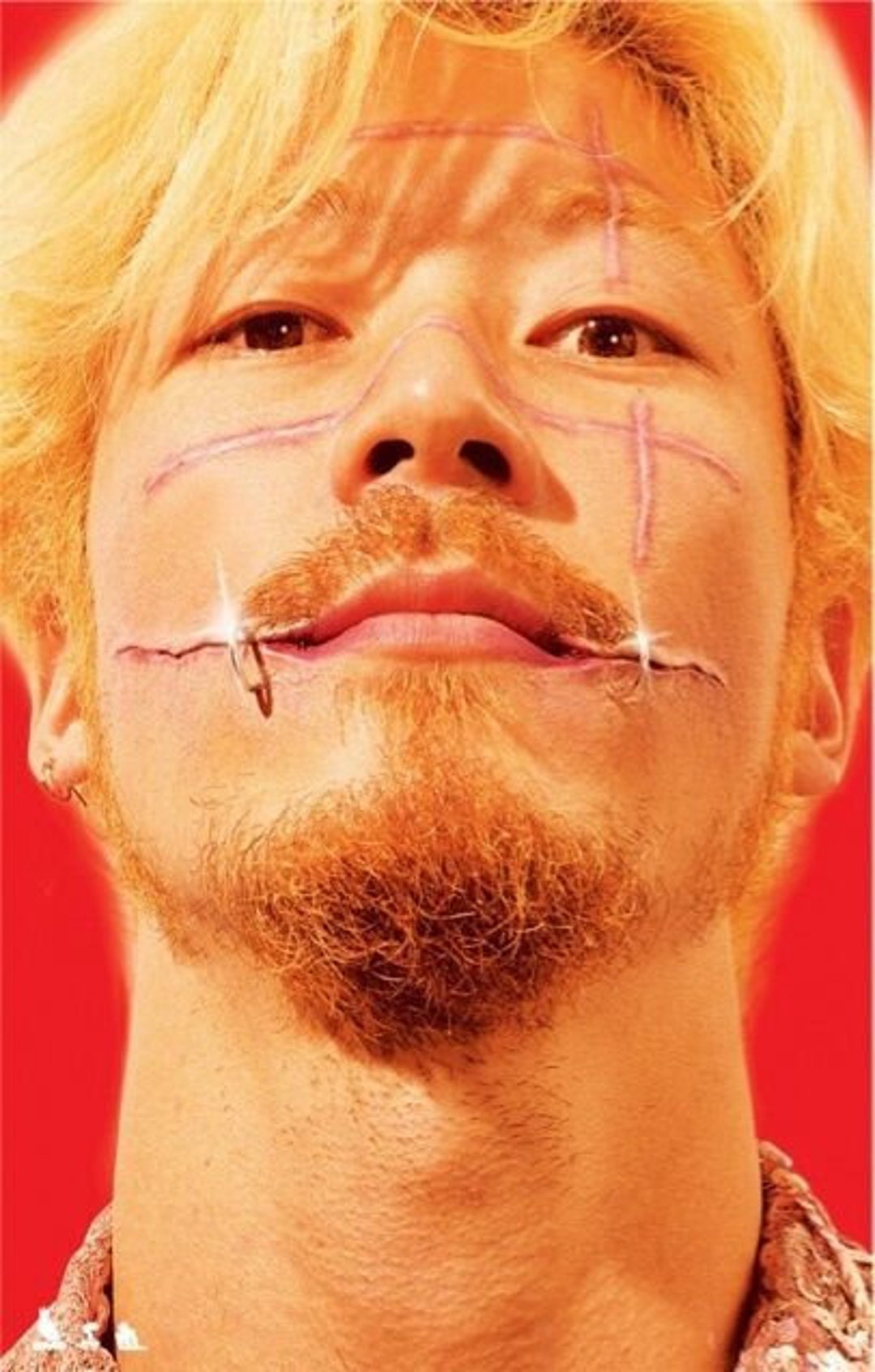 Ichi the Killer Movie Poster Takashi Miike Horror Japanese Gore Etsy