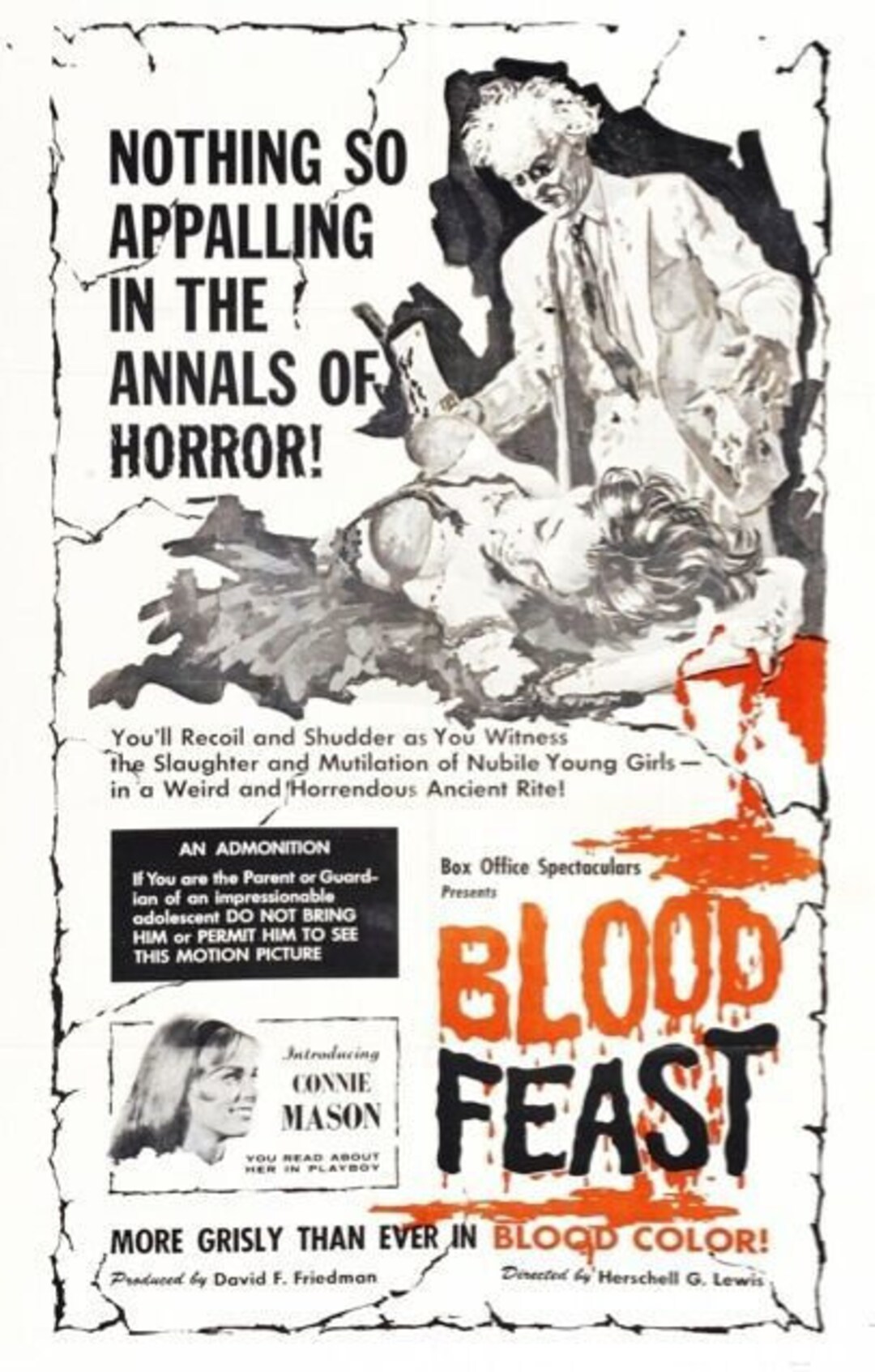 Blood Feast Movie Poster Horror Hg Lewis - Etsy
