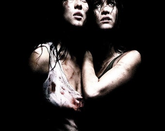 MARTYRS Movie Poster Horror French