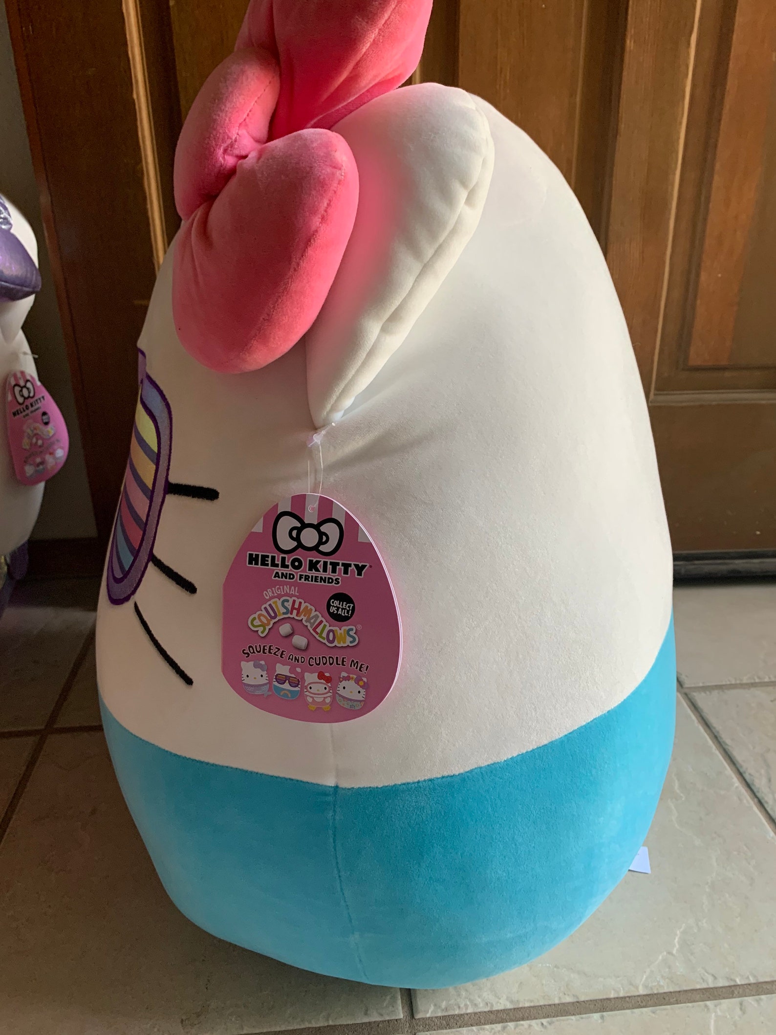squishmallow sunglasses