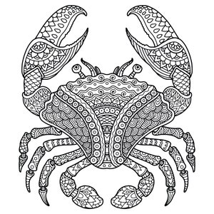 40 Printable Animal Mandala Coloring Pages| Ocean Animal Mandala| Adult Coloring Book