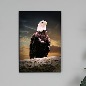 Bald Eagle Photo | American Eagle Print | Bald Eagle Wall Decor | Bald Eagle Photography | Bald Eagle Picture | Eagle Decor