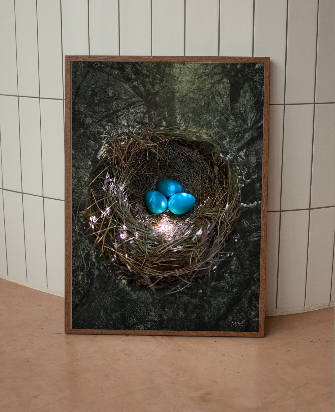 Bird Nest Robin Eggs Robin's Nest Robin's Nest Photo Robin Eggs Blue