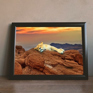 Lion Art | Lion Print | Sleeping Lion| Lion Art Print | Wall Art | Lion Decor | Lion Photo | Wildlife Print | Wildlife Art