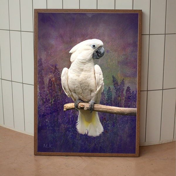 Cockatoo Print | White Cockatoo | Cockatoo Feathers | Art Print | Cockatoo Wall Decor | Bird Photography