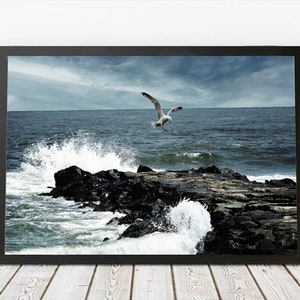 Seagull Art | Seagull Print | Seagull Decor | Ocean Art Print | Ocean Decor | Ocean Photo | Ocean Wall Decor | Seagull Photo