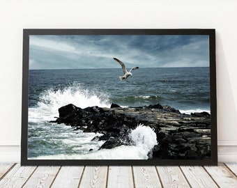 Seagull Art | Seagull Print | Seagull Decor | Ocean Art Print | Ocean Decor | Ocean Photo | Ocean Wall Decor | Seagull Photo