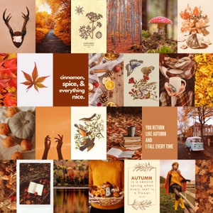 May include: A collage of images with an autumn theme. The images include fall foliage, pumpkins, a forest, a cup of coffee, a book, and a quote about autumn. The text in the image reads: "cinnamon, spice, & everything nice." "YOU RETURN LIKE AUTUMN AND I FALL EVERY TIME" "AUTUMN is a second spring when every leaf is a flower"