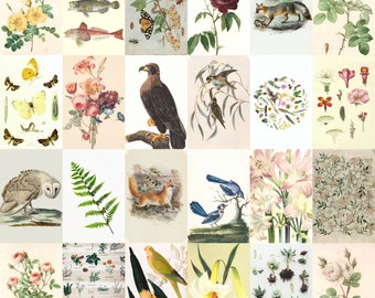 Vintage Botanical Photo Collage Kit 35 PCS, Nature Poster Collage, Vintage Aesthetic Wall Collage Kit (DIGITAL DOWNLOAD)