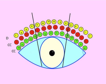 Eyelash Extensions, Training powerpoint, download PDF