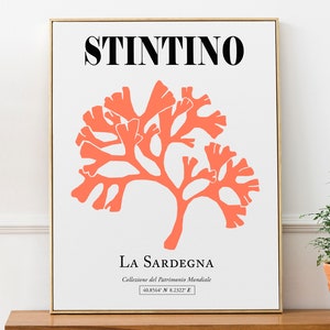 Stintino, Italy, Sardinia (Sardegna) Aesthetic Corals Wall Art Decor Print Poster