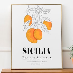 Sicilia, Italy, Sicily Aestheti Apricots Wall Art Decor Print Poster