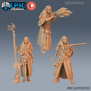 Swamp Hag - Epic Miniatures | Dungeons & Dragons | Pathfinder | Tabletop