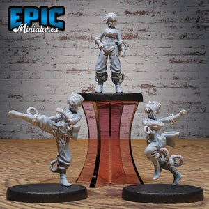 Iron Fist Tournament, Female Monk - Epic Miniatures | Dungeons & Dragons | Pathfinder | Tabletop