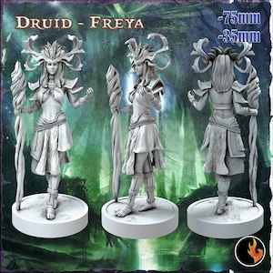 Puede incluir: Una figura en miniatura de plástico gris de una druida femenina con un bastón, que lleva un tocado con cuernos y una falda. La figura mide 75 mm de alto y 35 mm de ancho. La figura está de pie sobre una base redonda.