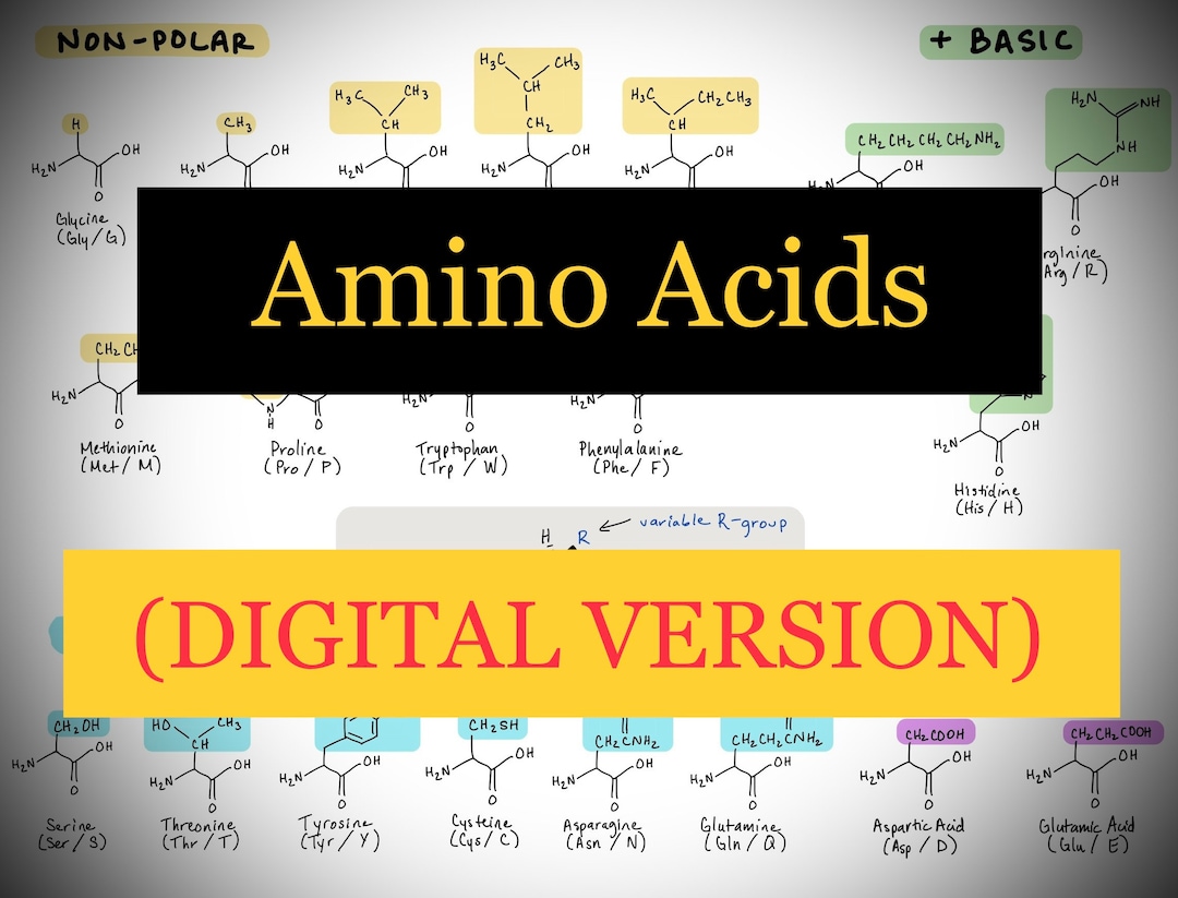 MCAT Amino Acids Cheat Sheet Etsy