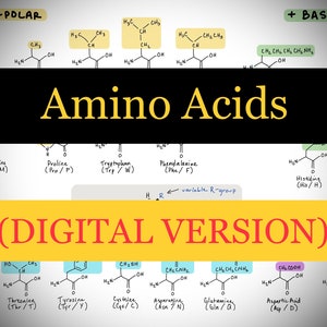 MCAT Amino Acids Cheat Sheet