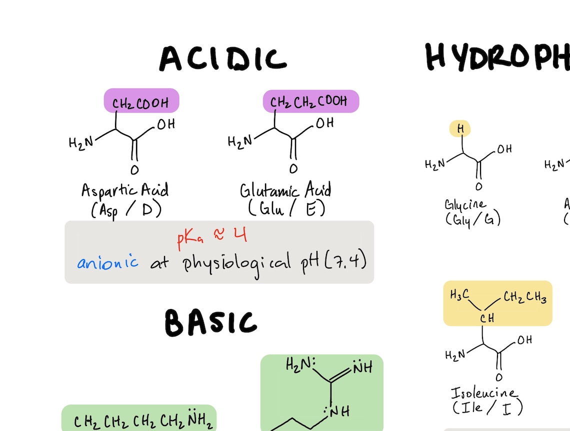 Best Way To Learn Amino Acids For Mcat MCAT Amino Acids Cheat Sheet - Etsy UK