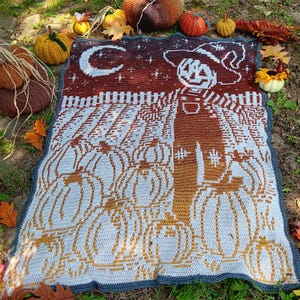 May include: A crocheted throw blanket with a Halloween theme. The blanket features a witch with a pumpkin head and a background of pumpkins and stars. The blanket is made with white and brown yarn.