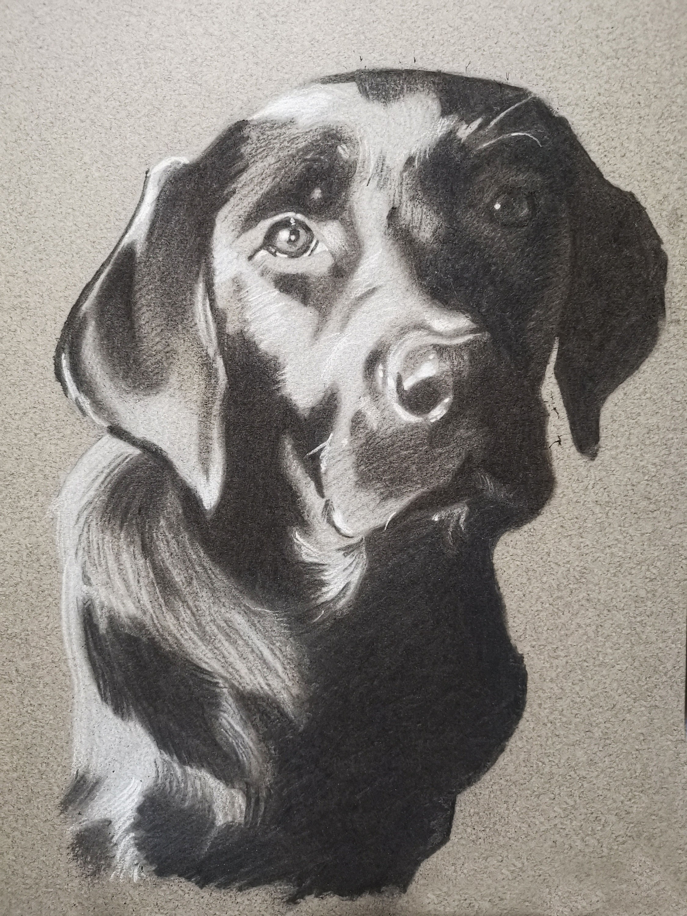 Charcoal On Toned Paper ubicaciondepersonas.cdmx.gob.mx